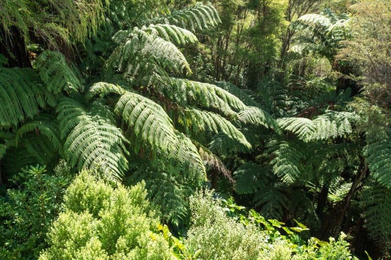 Photo of property in 281b Lund Road, Aongatete, Katikati, 3178