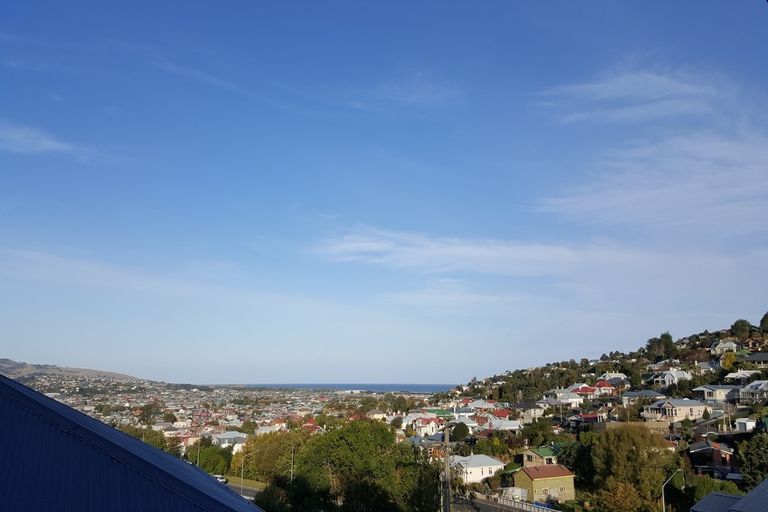 Photo of property in 3 Ballance Street, Caversham, Dunedin, 9011