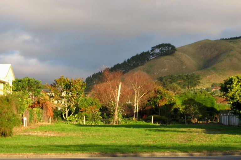 Photo of property in 480 Te Moana Road, Waikanae, 5036