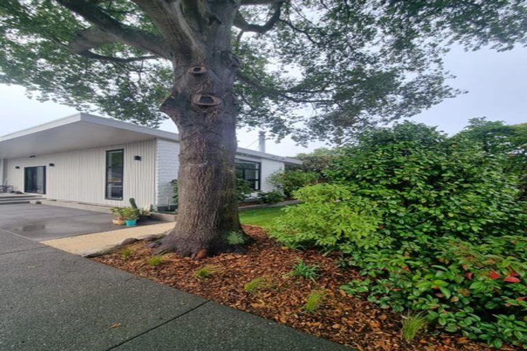 Photo of property in 50 Waitikiri Drive, Parklands, Christchurch, 8083