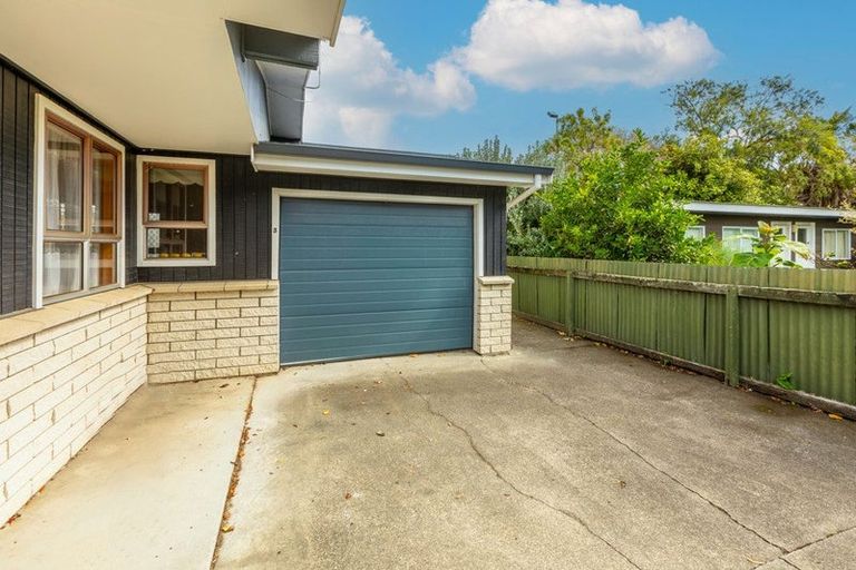 Photo of property in 48a Vigor Brown Street, Napier South, Napier, 4110