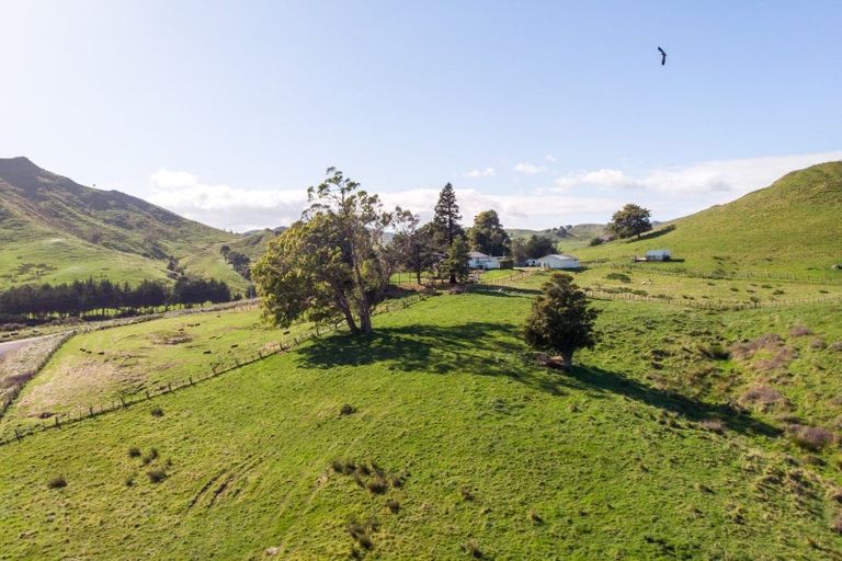 Photo of property in 334 Ormondville Te Uri Road, Ormondville, Dannevirke, 4977