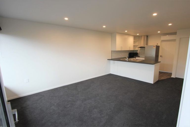 Photo of property in 19a Sheen Street, Roslyn, Dunedin, 9010