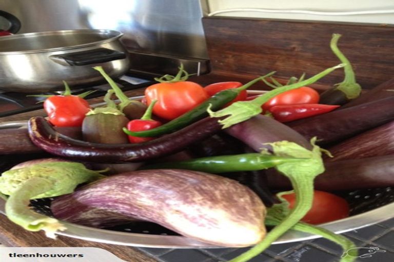 Photo of property in 670 Main Rd Riwaka, Riwaka, Motueka, 7198