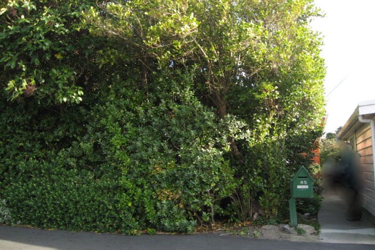 Photo of property in 45 Stirling Street, Andersons Bay, Dunedin, 9013