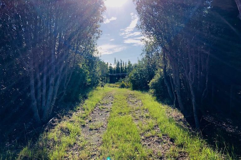 Photo of property in 593 Koutu Loop Road, Opononi, Kaikohe, 0473