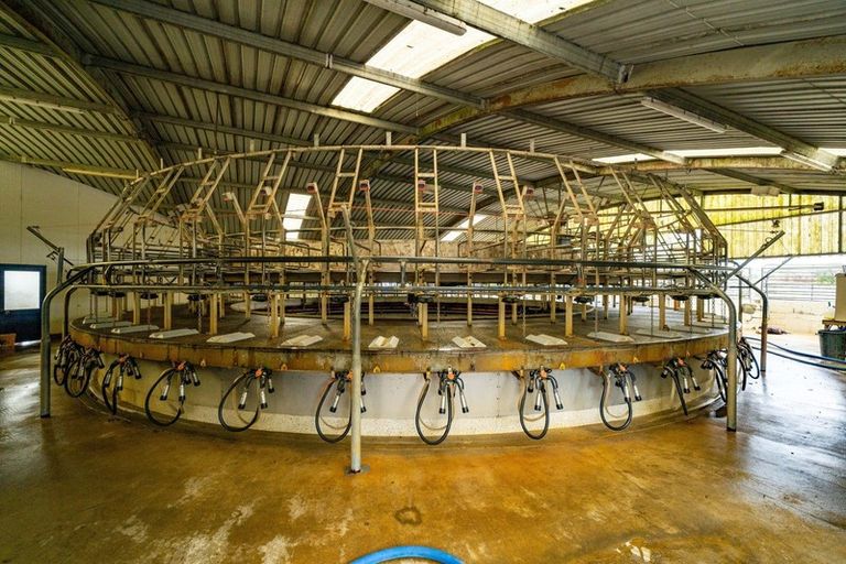 Photo of property in 99 Livingstone Road, Ngahinapouri, Hamilton, 3290