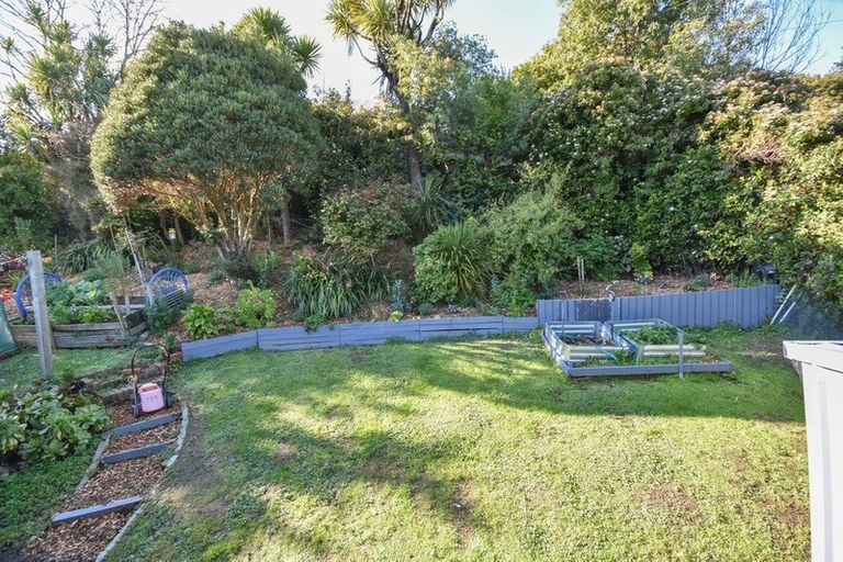 Photo of property in 56 Rhodes Terrace, North East Valley, Dunedin, 9010