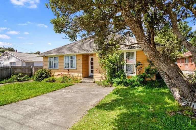 Photo of property in 48 Driver Crescent, Cannons Creek, Porirua, 5024