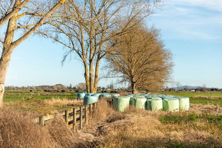 Photo of property in 6540 State Highway 2, Netherton, Paeroa, 3671