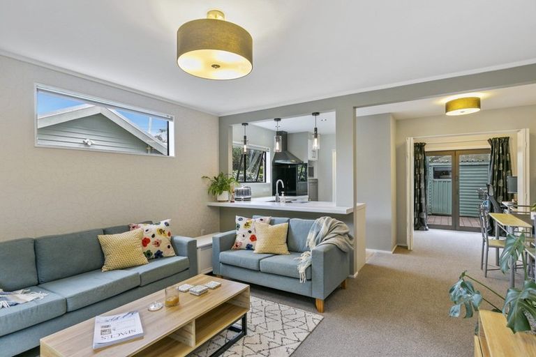 Photo of property in 1/24 Akatea Street, Berhampore, Wellington, 6023