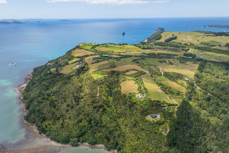 Photo of property in 404 Lees Road, Hahei, Whitianga, 3591