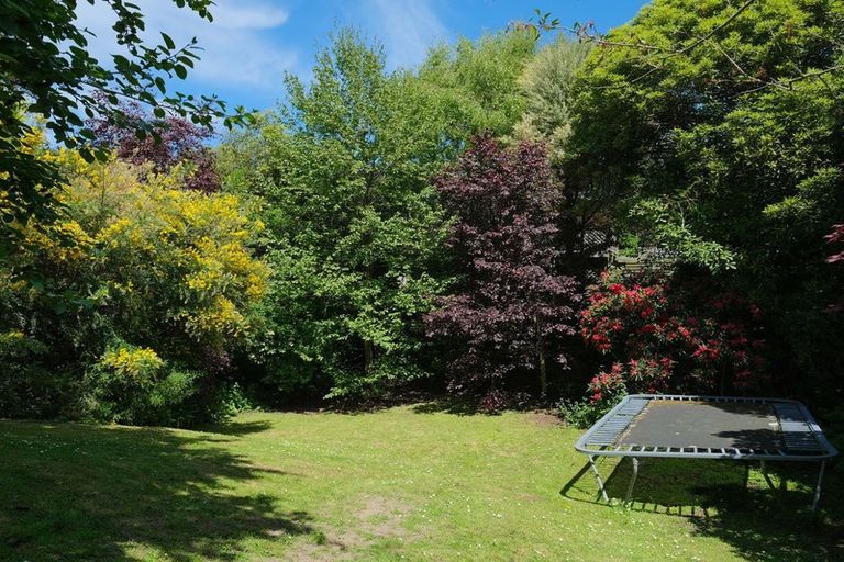 Photo of property in 29 Lynwood Avenue, Maori Hill, Dunedin, 9010