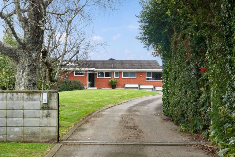 Photo of property in 62 Plummers Point Road, Whakamarama, Tauranga, 3172