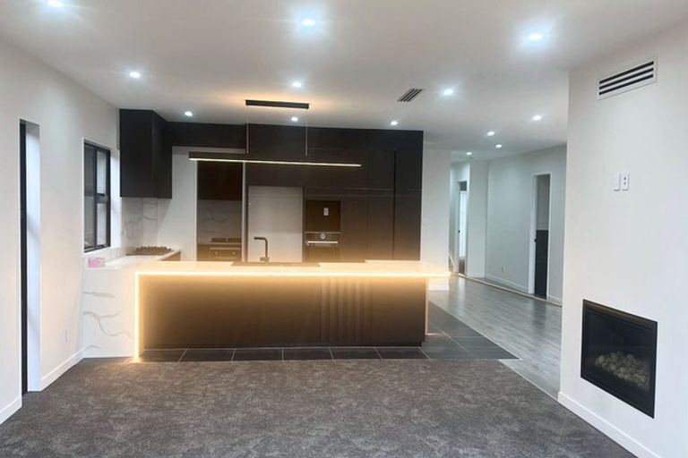 Photo of property in 79 Michael Bosher Way, Flat Bush, Auckland, 2019