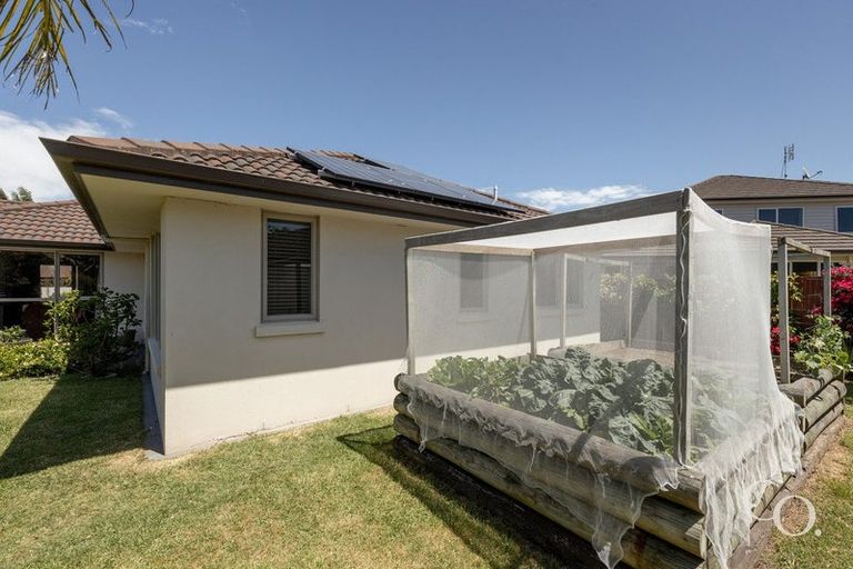 Photo of property in 2 Koro Mews, Papamoa Beach, Papamoa, 3118