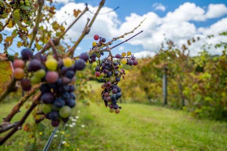 Photo of property in 1608e State Highway 10, Kerikeri, 0293