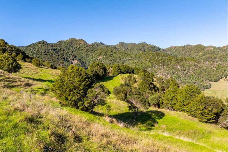 Photo of property in 1169 Tangihua Road, Maungakaramea, 0178