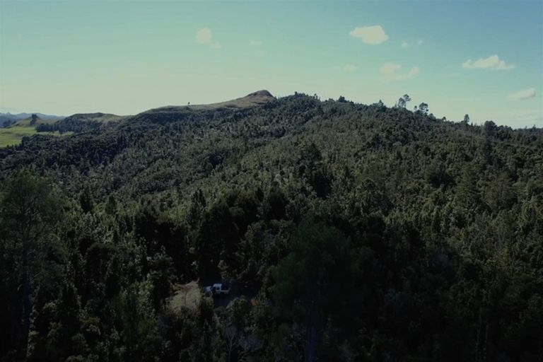 Photo of property in 625 Rangihau Road, Coroglen, Whitianga, 3591