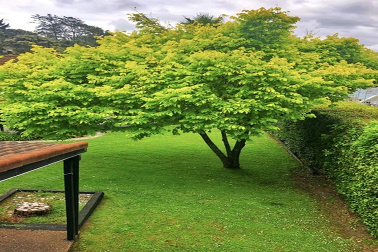 Photo of property in 23-25 Bernard Magnus Lane, Greenhithe, Auckland, 0632