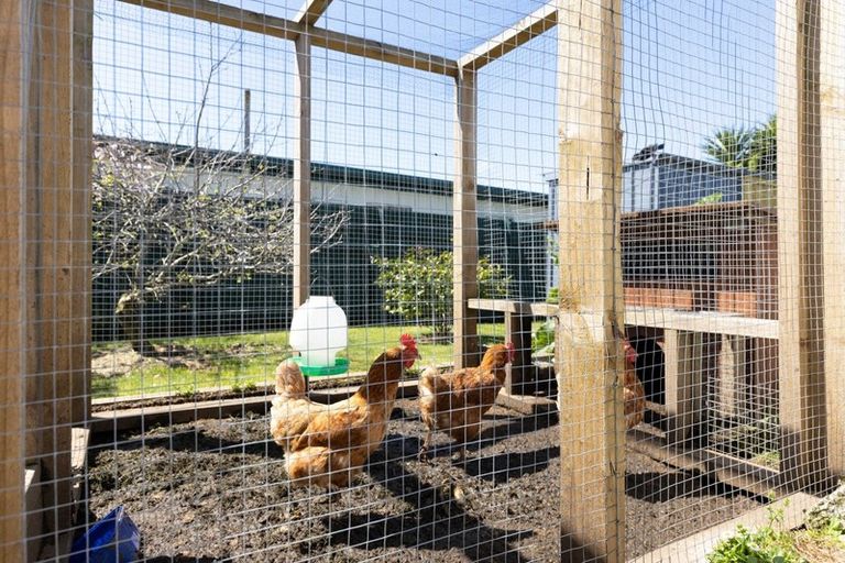 Photo of property in 321 Carrington Street, Vogeltown, New Plymouth, 4310