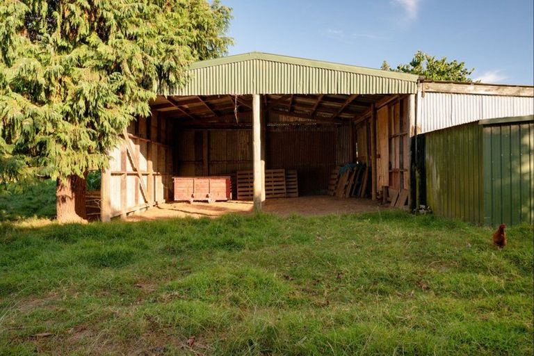 Photo of property in 42 Youngson Road, Whakamarama, Tauranga, 3180