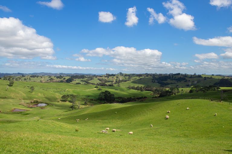 Photo of property in 200 Ingleton Road, Wellsford, 0972