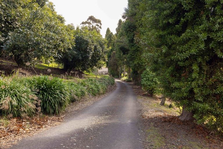 Photo of property in 289 Pahoia Road, Whakamarama, Tauranga, 3172