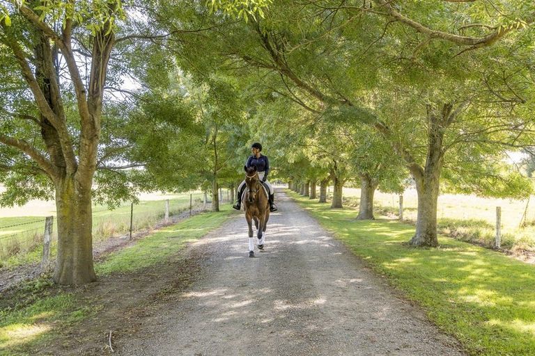 Photo of property in 1661 North Eyre Road, West Eyreton, Rangiora, 7475