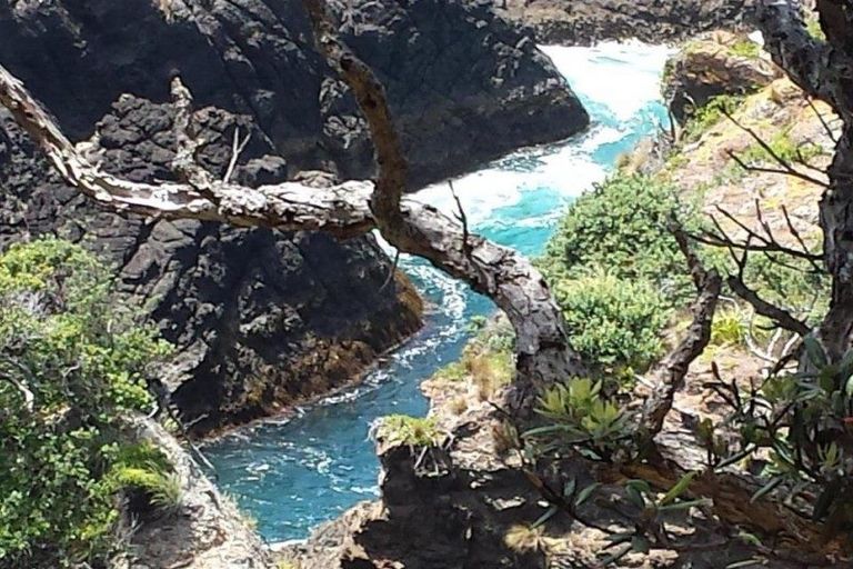 Photo of property in 167 North Gable Way, Tutukaka, Whangarei, 0173