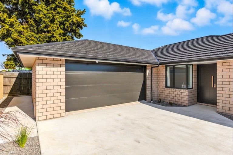 Photo of property in 21a Weraroa Road, Levin, 5510