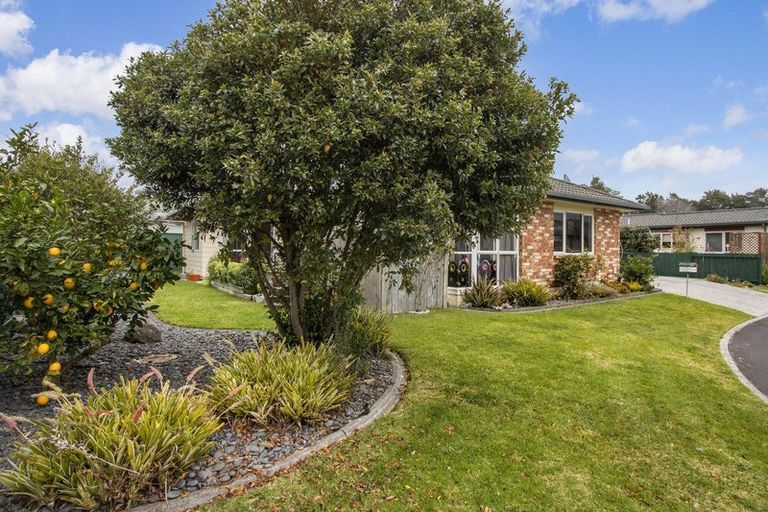 Photo of property in 11 Donegal Place, Katikati, 3129