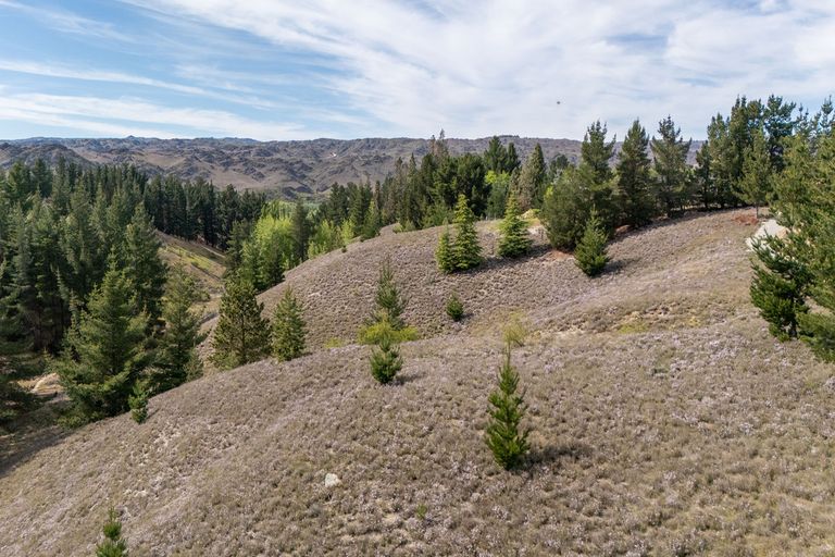 Photo of property in 92a Gilligans Gully Road, Alexandra, 9320