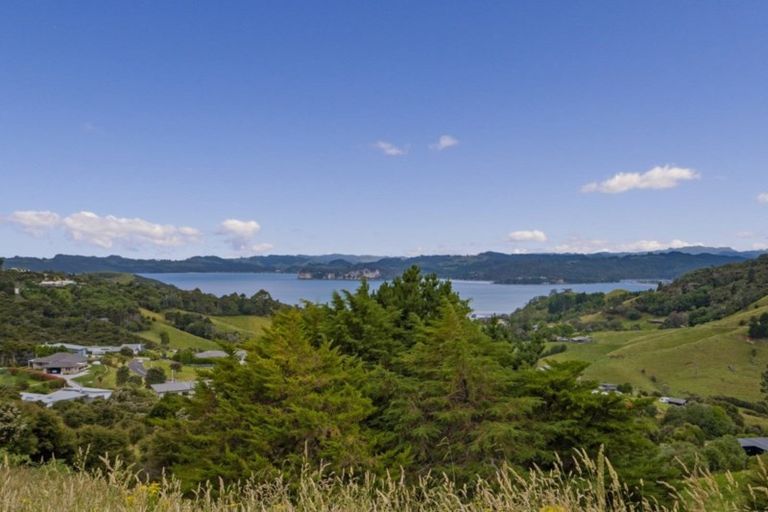 Photo of property in 79 Tarapatiki Drive, Whitianga, 3510
