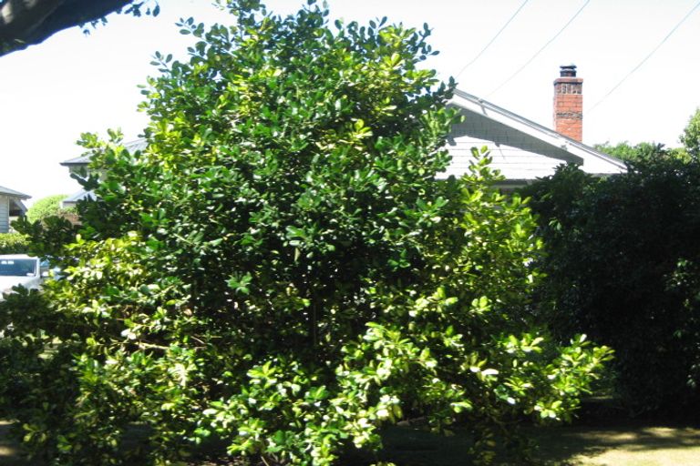 Photo of property in 15 Massey Crescent, St Albans, Christchurch, 8014