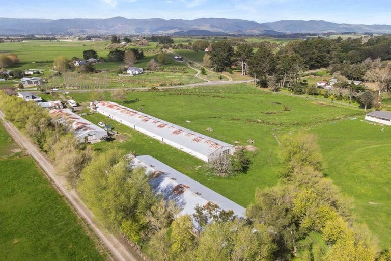 Photo of property in 170 Hokio Sand Road, Hokio Beach, Levin, 5571