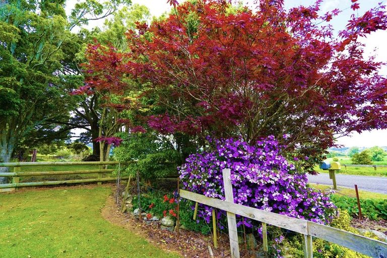 Photo of property in 252 Crane Road, Kauri, Kamo, 0185