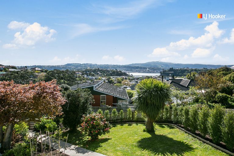 Photo of property in 53 Spottiswoode Street, Tainui, Dunedin, 9013