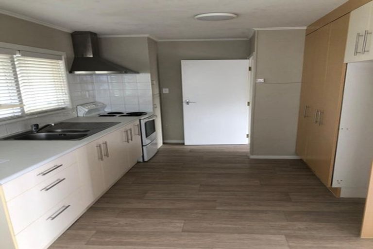 Photo of property in 117 Manuka Road, Bayview, Auckland, 0629