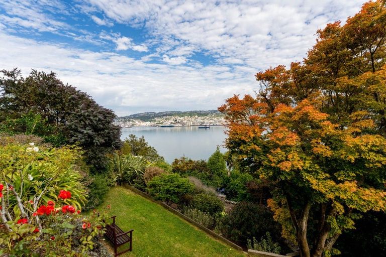 Photo of property in 91 Doon Street, Vauxhall, Dunedin, 9013