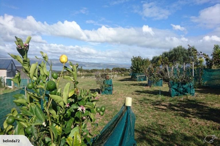 Photo of property in 420 Phillips Road, Raglan, Te Mata, 3894