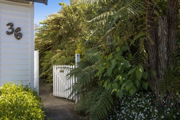 Photo of property in 36 Gilmour Street, Waihi, 3610