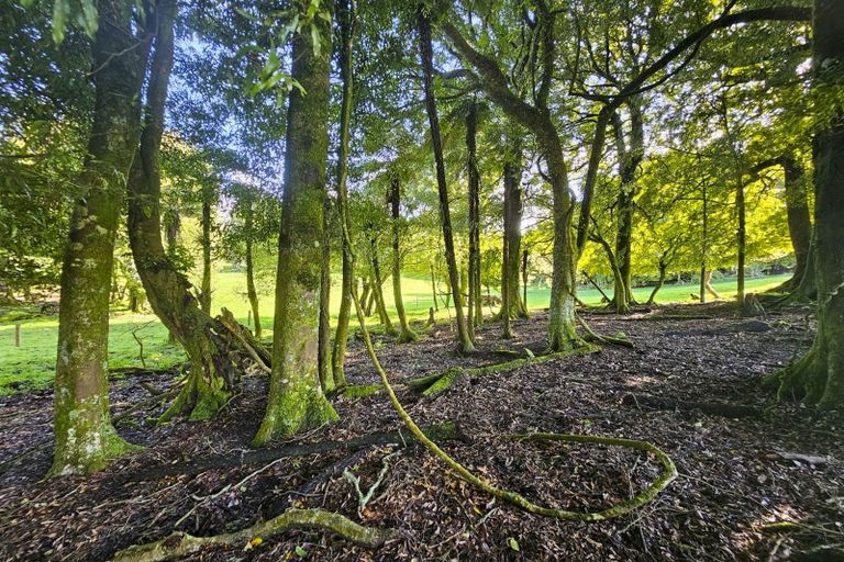 Photo of property in 118 South Road, Mamaku, Rotorua, 3072