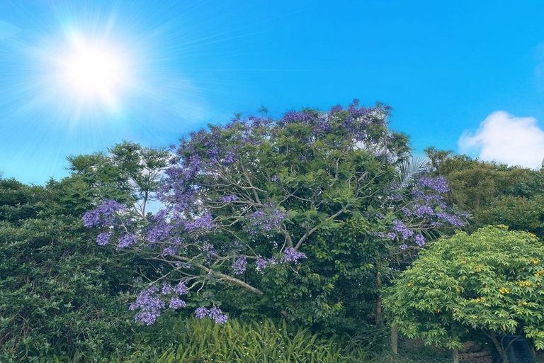 Photo of property in 53 Pah Road, Onerahi, Whangarei, 0110