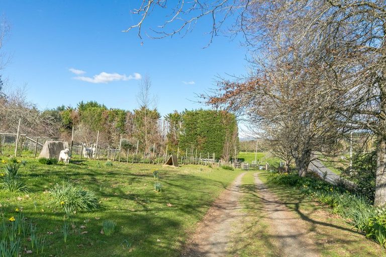 Photo of property in 635 Bayley Road, Wharepuhunga, Te Awamutu, 3873