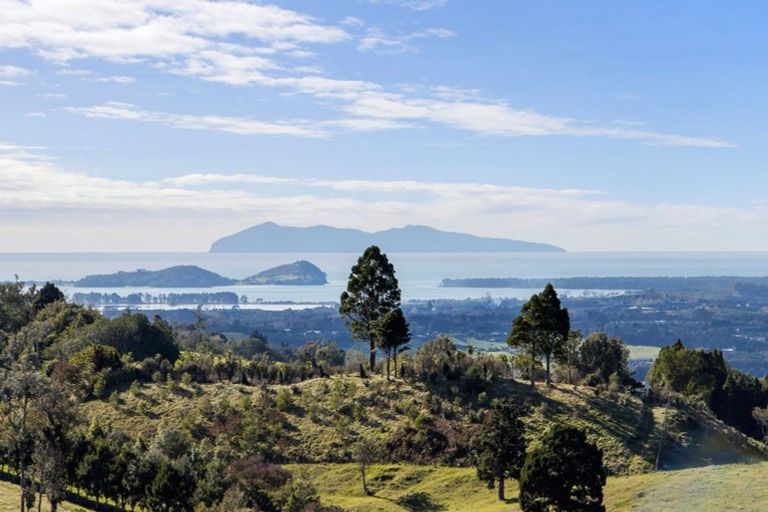 Photo of property in 413d Busby Road, Tahawai, Katikati, 3170