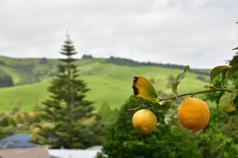 Photo of property in 41 Rautawhiri Road, Helensville, 0800