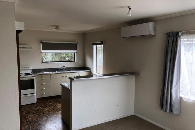 Photo of property in 99c Nixon Street, Hamilton East, Hamilton, 3216