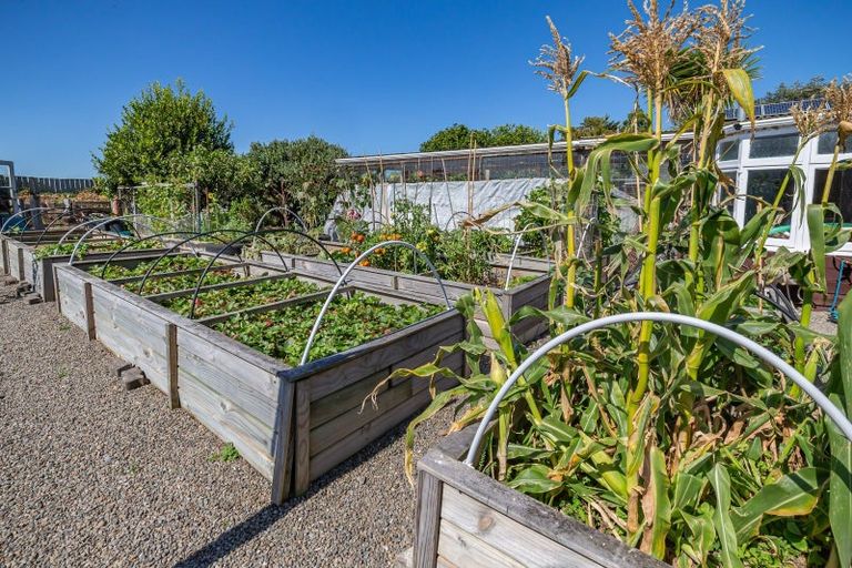 Photo of property in 389 Kawiu Road, Levin, 5510