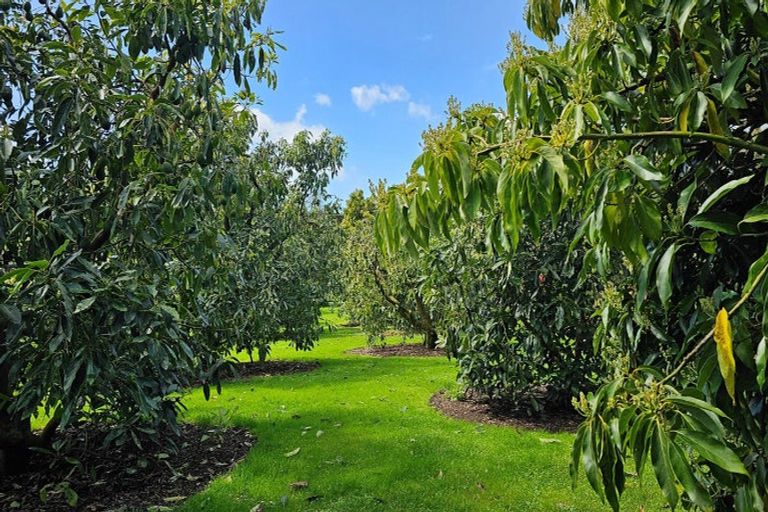 Photo of property in 526d Belk Road, Omanawa, Tauranga, 3171